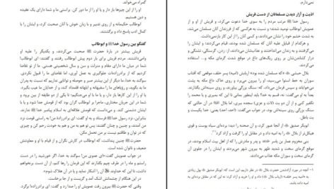 معرفی و دانلود کتاب زندگانی پیامبر اسلام اﺳﺘﺎد اﺑﻮاﻟﺤﺴﻦ ﻧﺪوی ۱۷۴ صفحه پی دی اف