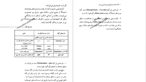معرفی و دانلود کتاب ساری و آغاز تمدن برنج درویش علی کولائیان ۲۱۸ صفحه پی‌دی‌اف