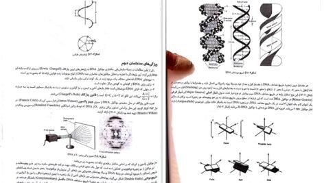 معرفی و دانلود کتاب ژنتیک از کلاسیک تا ژنومیک دکتر اکرمی ۵۴۱ صفحه پی دی اف