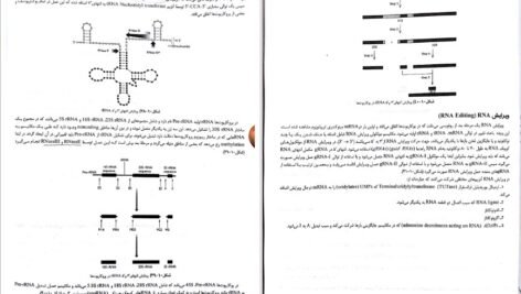 معرفی و دانلود کتاب ژنتیک از کلاسیک تا ژنومیک دکتر اکرمی ۵۴۱ صفحه پی دی اف