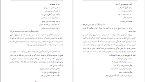 معرفی و دانلود کتاب زنانه با فروغ مهتاب سالاری ۳۰۳ صفحه پی دی اف