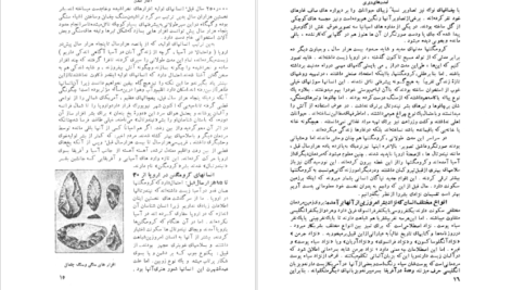 معرفی و دانلود کتاب سرگذشت تمدن کارل بکر ۶۲۴ صفحه پی دی اف