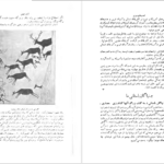 معرفی و دانلود کتاب سرگذشت تمدن کارل بکر ۶۲۴ صفحه پی دی اف
