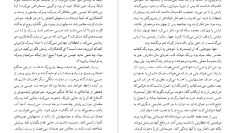 معرفی و دانلود کتاب شهود فلانری اوکانر ۲۱۹ صفحه پی دی اف
