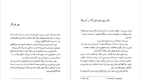 معرفی و دانلود کتاب صید قزل‌آلا در آمریکا ریچارد براتیگان ۱۹۷ صفحه پی دی اف