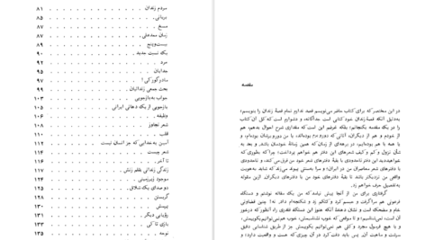 معرفی و دانلود کتاب ظل‌الله رضا براهنی ۱۷۰ صفحه پی دی اف