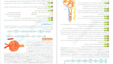 معرفی و دانلود کتاب فاگوزیست دهم فردین جوادی ۳۰۸ صفحه پی دی اف
