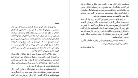 معرفی و دانلود کتاب فرزانه‌ای که با نهج‌البلاغه زیست جمعی از نویسندگان ۳۱۳ صفحه پی دی اف