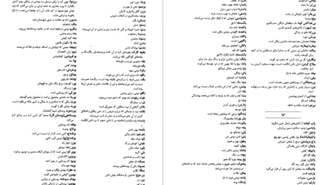 معرفی و دانلود کتاب فرهنگ بزرگ ضرب‌المثل‌های فارسی ۲ حسن ذوالفقاری ۱۱۶۰ صفحه پی دی اف