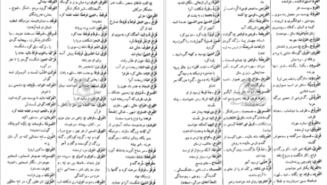 معرفی و دانلود کتاب فرهنگ دانشگاهی المنجد الابجدی ۹۵۳ صفحه پی دی اف 