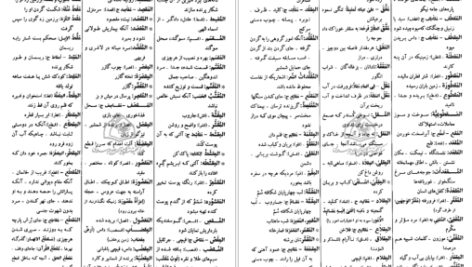 معرفی و دانلود کتاب فرهنگ دانشگاهی المنجد الابجدی ۹۵۳ صفحه پی دی اف 